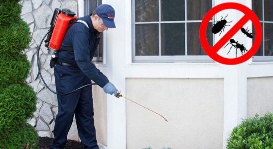 Aşkale Karınca İlaçlama böcek ilaçlama ve haşere kontrolü — ilaclama-tr.com